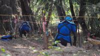 HI teams at work in the field during manual demining operations. Two deminers are seen from behind, kneeling on the ground in the shade, in a corridor marked out by red stakes. Around them, the earth and vegetation are visible.