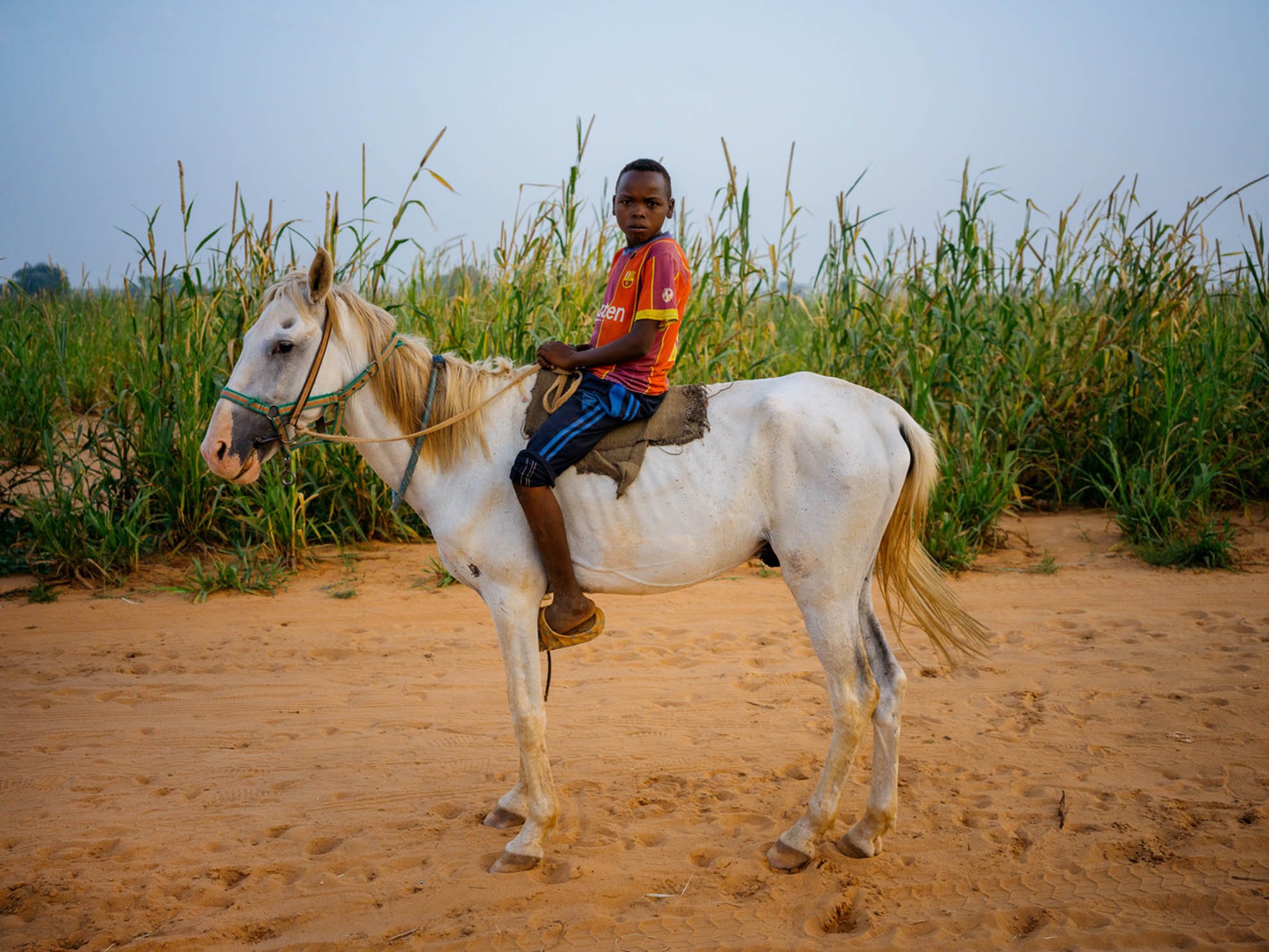 Multazim riding a white horse with some tall green plants in the background