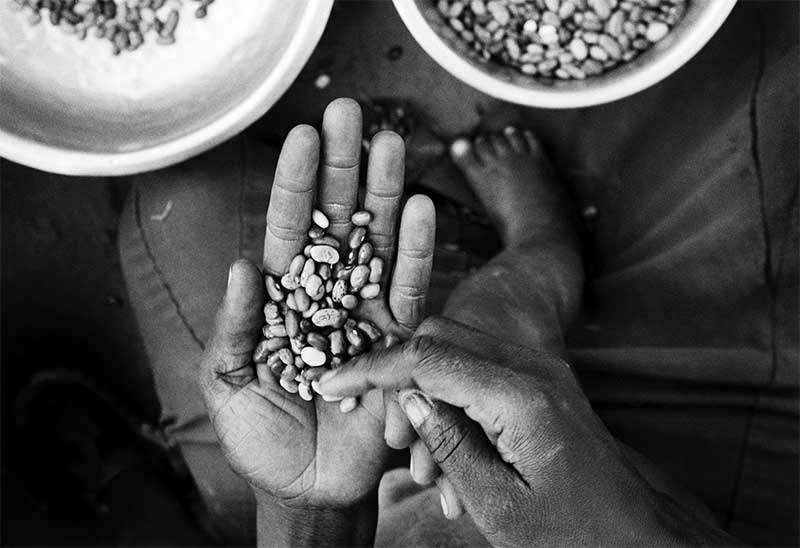 Reida, Beatrice’s mother, sorting the beans that she will cook later over wood for her 3 children.