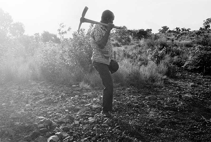 John working with a pickaxe in a field.